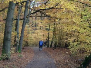 Wilseder Berg 1 2010 035